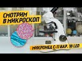 Микроскоп для школьника Микромед С 11 вар 1B LED