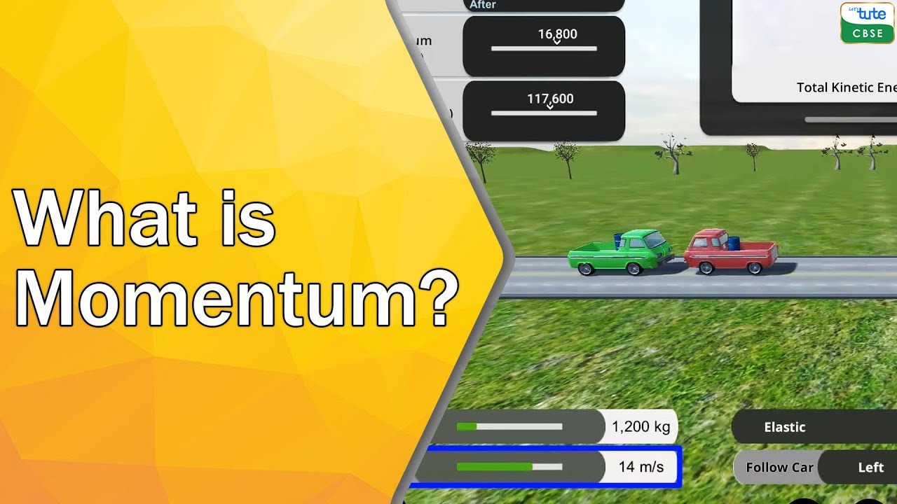 What is Momentum in Physics | Class 9 #Physics #3d Science Simulators ...