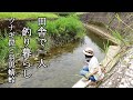 田舎で一人釣り暮らし！ウナギを狙ったり小川で遊んだ一日