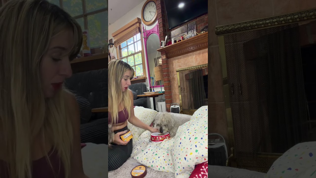 My 17-year-old dog refuses to eat without this #SeniorDogs #DogHealth #PetCare