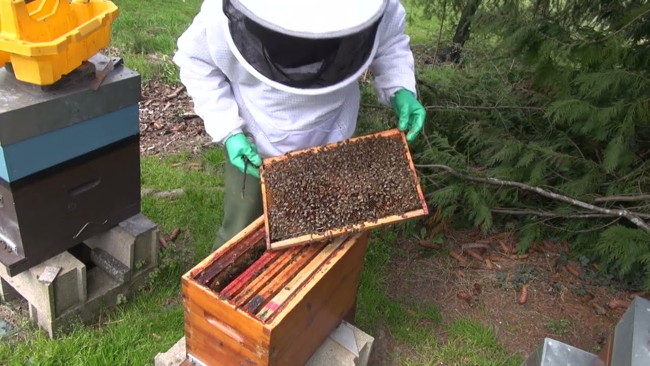 Elles ont frôlé la famine
