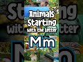 Introduction to Alphabet for Kids | Learn Letter M | Animals Starting with M | ABC Alphabet Learning