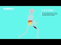 ¿Qué son las cetonas? | Runner's World España