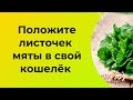 Положите листочек мяты в свой кошелёк.