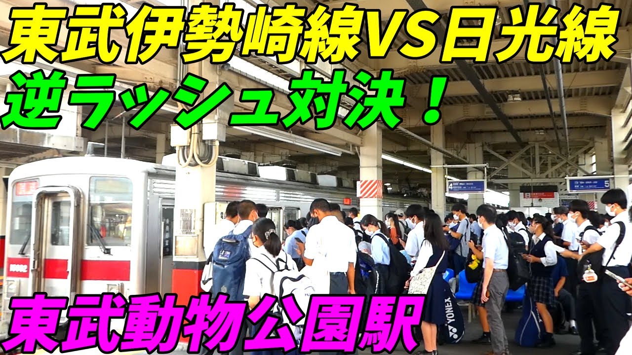 【逆ラッシュ調査！】東武動物公園駅の通勤ラッシュ！東武伊勢崎線VS東武日光線！上り以上の激しい混雑！