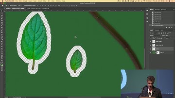 The Holy Grail of Plant Creation - Julius Harling