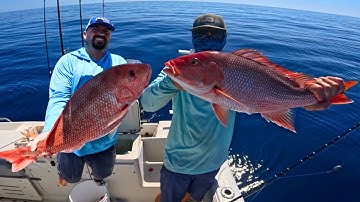 How to Catch Red Snapper Offshore of Tampa Bay for the 2025 Season (WE LIMITED OUT)