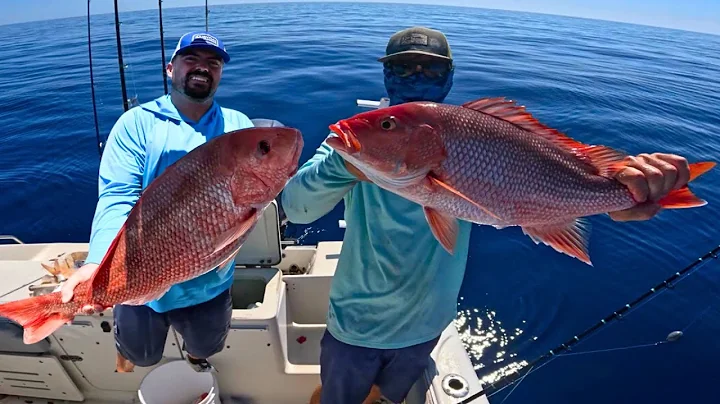 How to Catch Red Snapper Offshore of Tampa Bay for the 2025 Season (WE LIMITED OUT)