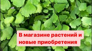 Показываю отдел растений в магазине и свои новые приобретения.