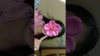 ye hum ny soch rakha tha | Bakhtawar Riaz