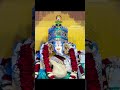 जय गणेश बाबा 🌹#ganesh #ganeshbaba #ganeshchaturthi #ganeshtemple #ganeshji