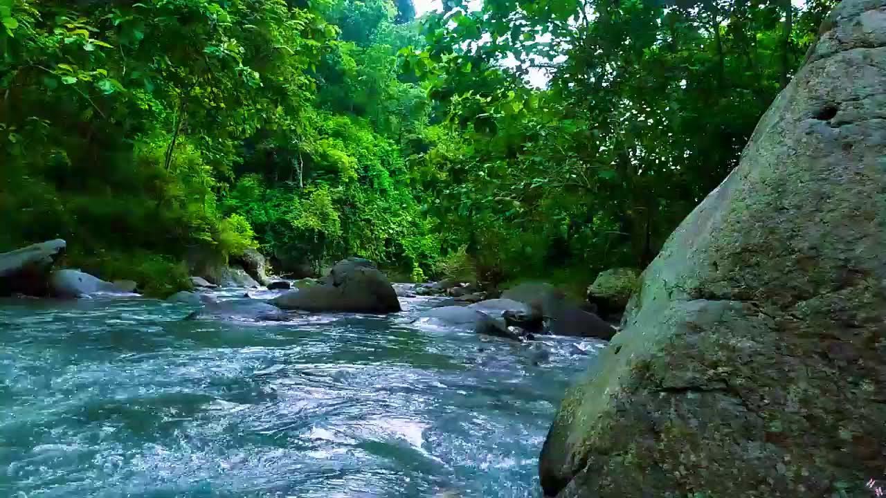 River Flowing Sounds 24/7 🌿 Nature Sounds - White Noise - for Deep Sleep and Relax
