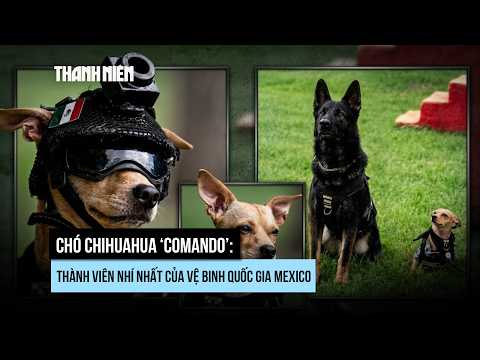 What is the mission of the Chihuahua that joined the Mexican National Guard?