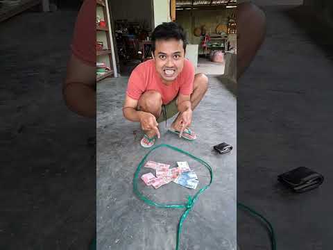 Bikin Jebakan Pencuri tokek harga 100 jt #pencuri #komedi #tokek #dailyvlog #lucu #viral #hewan