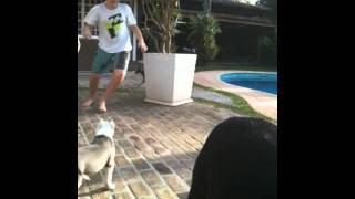 Rita, Ombak,Luna, Alice Eo