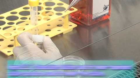 ReproCELL iPSC adherent culture ch06