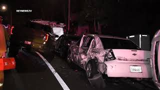 Driver Flees on Foot After Crash 1.1.2022