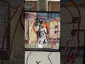 La genialidad – arte urbano, Francisco de Pájaro, graffiti video