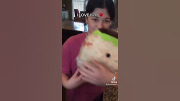 Overseas Squish Mail #squishtok #squishtiktok #squishmallow #squishmail #squishmallows #foodsquish