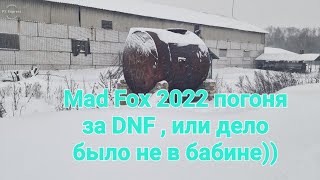 Мэд фокс 2022