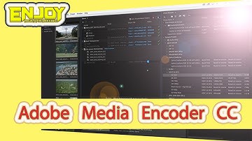 Adobe Media Encoder CC 2020