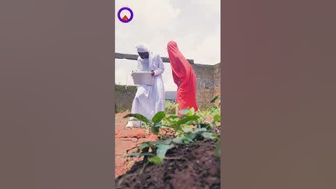 Nigeria  to Ghana Mr Macaroni | obg recent  | Brainjotter  | pouma funkie