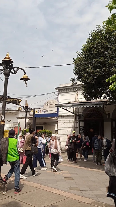 SW buat weekend⁉️Kita CFDan di Alun-alun kota bogor🛑No WM part161 #shorts #storywa #healing #bogor