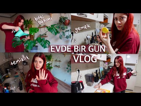 Evde bir günüm | VLOG | Temizlik yemek ve bitki bakımı