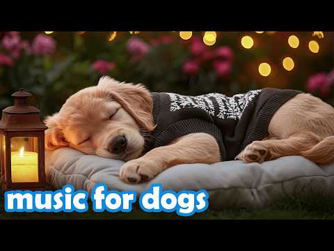 12 Hours of Healing Music for Dogs 🐶 Dog Sleep Music & Stress Relief Music for Anxious Puppies