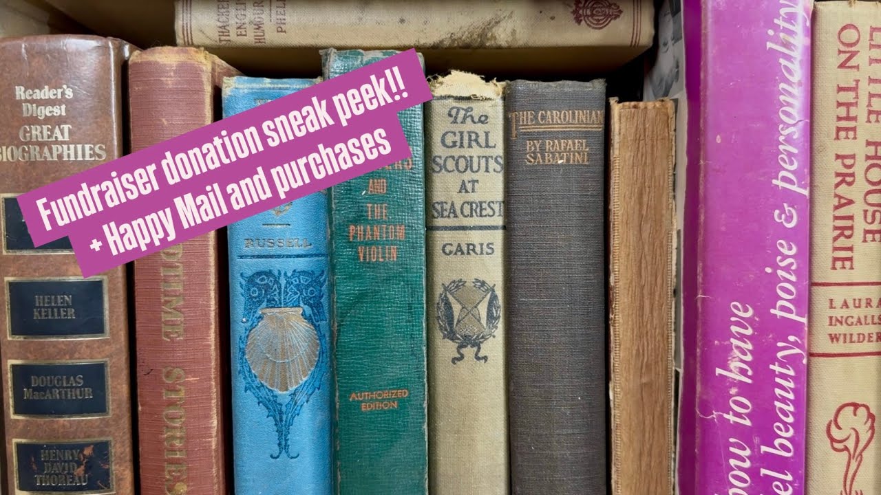 Sneak Peek of fundraiser books from Veronica & Happy Mail & purchases with Sandra, Sandy, Angela