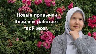 Новые привычки. Знай как работает твой мозг.