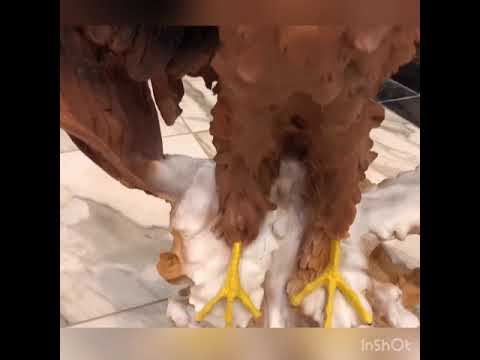 ОРЕЛ БОЛЬШОЙ С