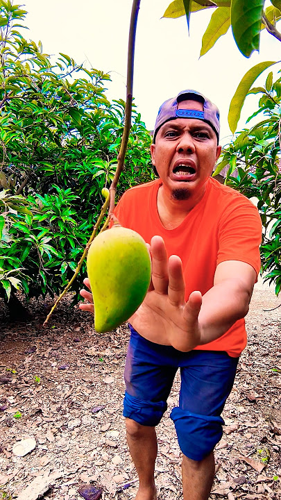 Haunted Fruit #shorts #drama #soap opera #comedy #funny #subscribe #trending #kids #music #magic ...