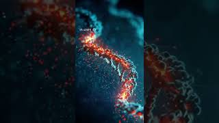 Understanding CRISPR: The Synthetic Biology Saving Our Food