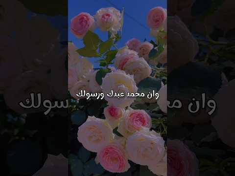 اللهم أني اصبحت اشهدك واشهد حملة عرشك وملائكتك انك انت الله لا اله الا انت