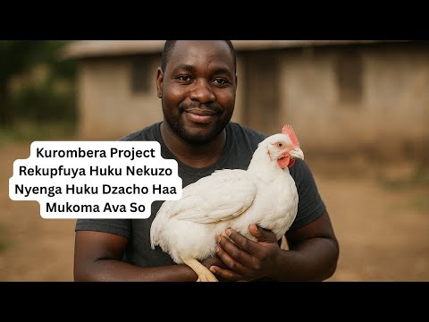 Kurombera Project Rekupfuya Huku Nekuzo Nyenga Huku Dzacho Haa Mukoma Ava So
