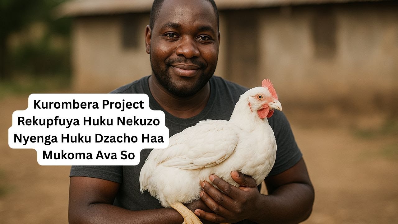 Kurombera Project Rekupfuya Huku Nekuzo Nyenga Huku Dzacho Haa Mukoma Ava So