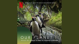 Video voorbeeld van "Jasha Klebe - Our Planet"