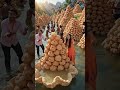 #golgappa