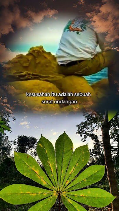 kapan allah mengundang kita untuk bertemu denganya#ceramah #quotes #trending #subscribe
