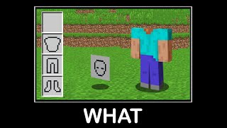 WAIT WHAT (Minecraft) #73 Net Worth