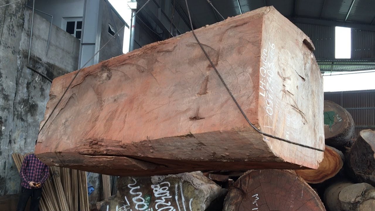 chainsaw giant wood extreme