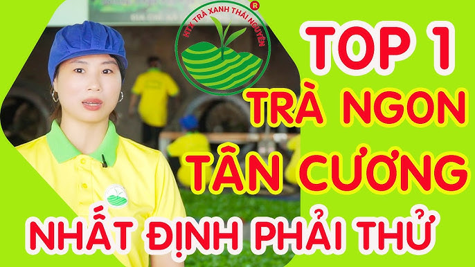 Top 10 giá trà đinh Thái Nguyên ngon nhất 2023: So sánh và đánh giá
