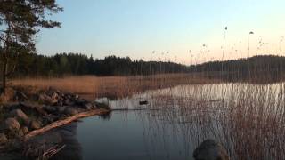 Карелия. Отдых. Рыбалка.(GoPro Hero 3+ black edition Sony HDR-xr550e По вопросам монтажа видео,рекламы обращаться сюда: http://vk.com/vg270 ..., 2014-06-04T20:51:09.000Z)