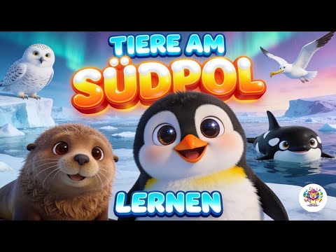 Tiere am Südpol entdecken