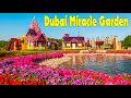 Dubai Miracle Garden Tour| Dubai Best Places | AN Vlogs 2021