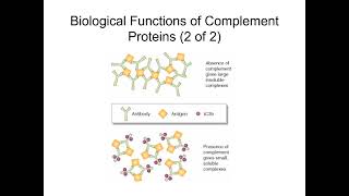 Soluble Mediators of the Immune System