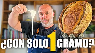 Con 1 solo gramo de masa madre