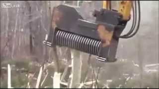 Tree Eater Chews up trees in seconds