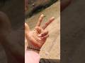 पूरा देखना👿☠️ओ भाई यह क्या हो गया 😱#shorts #shortvideo #subscribe #feed